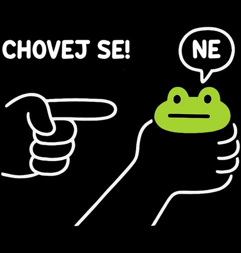 Obrázek produktu Dětské tričko Neposlušná Žába Chovej se! Ne