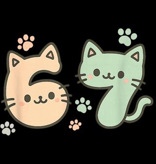 Obrázek 2 produktu Dámské tričko Kočičí Meme 67 Six Seven