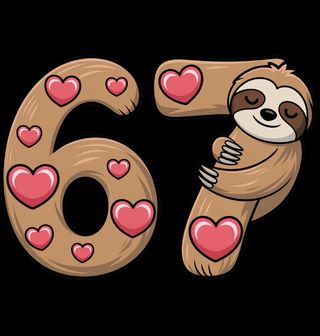 Obrázek 2 produktu Pánské tričko Roztomilý Lenochod 67 Six Seven Meme