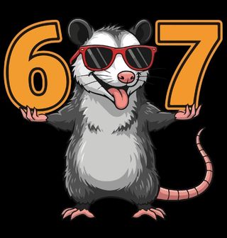 Obrázek 2 produktu Pánské tričko Vačice v Brýlích 67 Six Seven