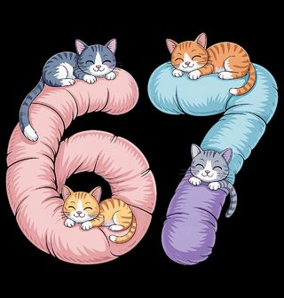 Obrázek 2 produktu Pánské tričko Spící Kočky 67 Six Seven Meme