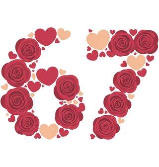 Obrázek 2 produktu Dětské tričko 67 z Růží Six Seven Meme