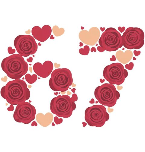 Obrázek produktu Dětské tričko 67 z Růží Six Seven Meme