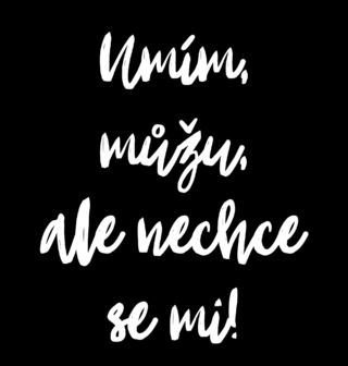 Obrázek 2 produktu Dětské tričko Umím, můžu, ale nechce se mi