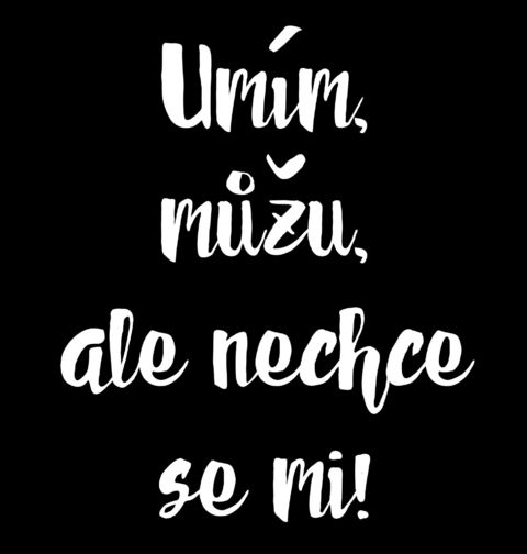 Obrázek produktu Dámské tričko Umím, můžu, ale nechci