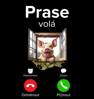 Obrázek 2 produktu Pánská mikina Prase volá Phone Call