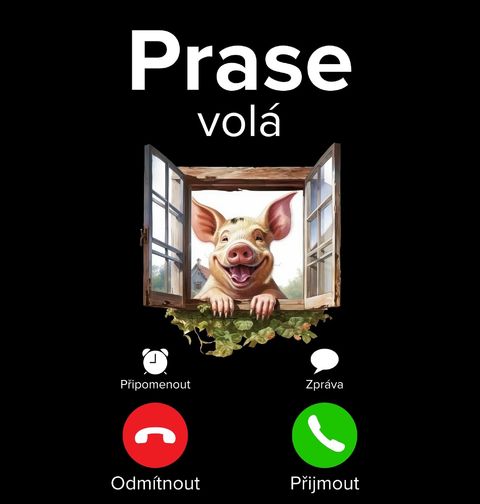 Obrázek produktu Pánská mikina Prase volá Phone Call