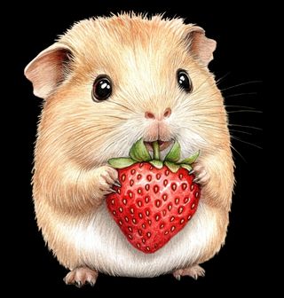 Obrázek 2 produktu Pánská mikina Roztomilý Křeček s Jahodou