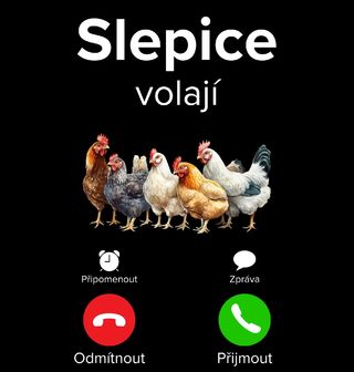 Obrázek 2 produktu Pánská mikina Slepice volají Phone Call