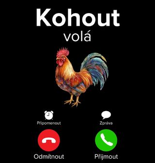 Obrázek 2 produktu Pánská mikina Kohout volá Phone Call