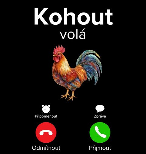Obrázek produktu Pánská mikina Kohout volá Phone Call