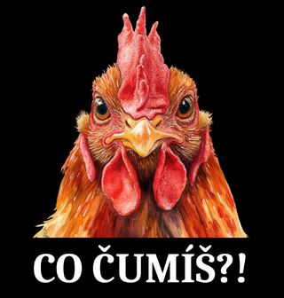 Obrázek 2 produktu Pánské tričko Drsný Kohout Co čumíš?!