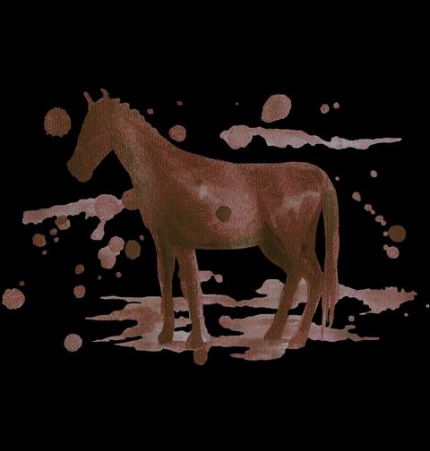 Obrázek produktu Pánské tričko Kávová Umělecká Malba Koně