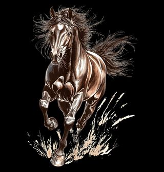 Obrázek 2 produktu Pánské tričko Divoký Kůň v Běhu