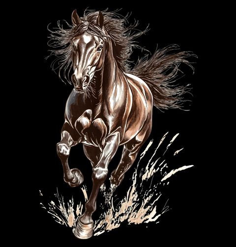Obrázek produktu Pánské tričko Divoký Kůň v Běhu