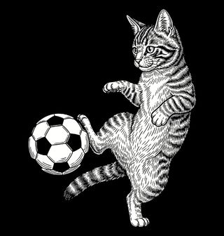 Obrázek 2 produktu Pánská mikina Mourovatá Kočka Fotbalistka