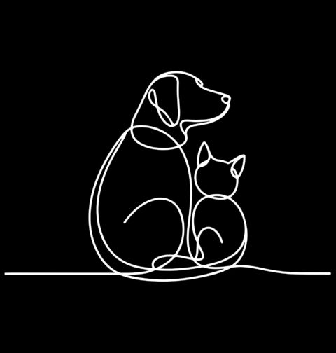 Obrázek produktu Dámské tričko Pes a Kočka Line Art