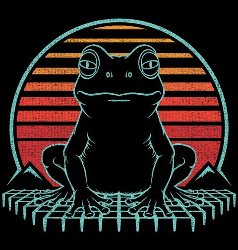 Obrázek produktu Dětské tričko Retro Žába při Západu Slunce