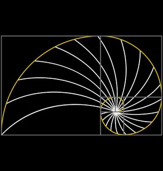 Obrázek 2 produktu Dětské tričko Zlatý Řez Spirála harmonie