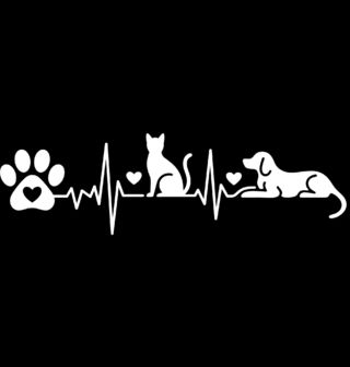 Obrázek 2 produktu Dětské tričko Kardiogram mazlíčků Pes a Kočka