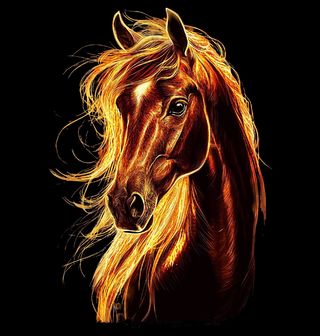 Obrázek 2 produktu Dětské tričko Ohnivý Kůň