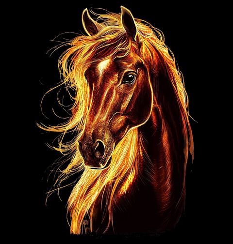 Obrázek produktu Pánská mikina Ohnivý Kůň