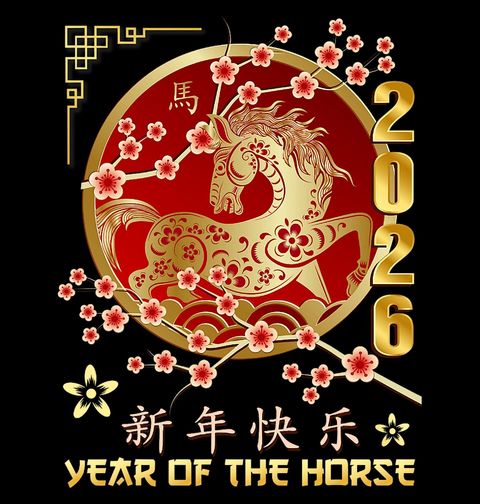 Obrázek produktu Dámské tričko Čínský Ohnivý Kůň Rok 2026