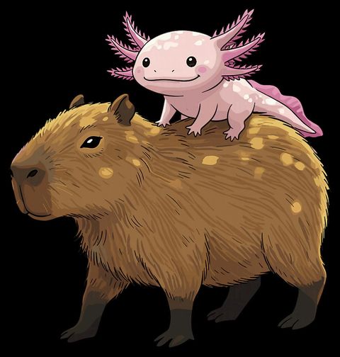 Obrázek produktu Pánské tričko Axolotl Jízda na Kapybaře