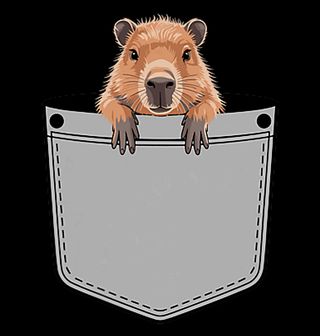 Obrázek 2 produktu Dětské tričko Kapybara v Kapse