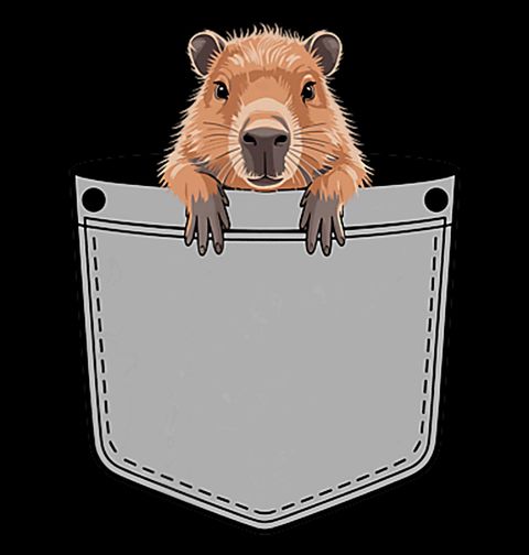 Obrázek produktu Dámské tričko Kapybara v Kapse