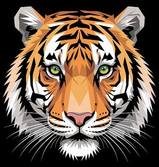 Obrázek 2 produktu Dětské tričko Smrtící Pohled Tygra