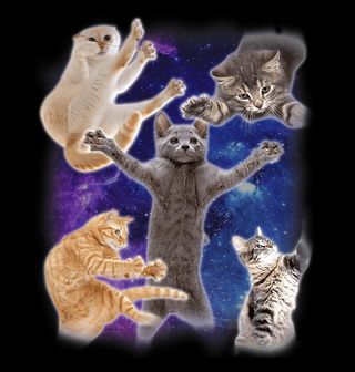 Obrázek 2 produktu Dámské tričko Vesmírné Kočky Space Cats Meme