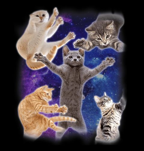 Obrázek produktu Pánská mikina Vesmírné Kočky Space Cats Meme