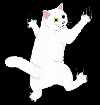 Obrázek 2 produktu Dětské tričko Drápající se Kočka po Tričku