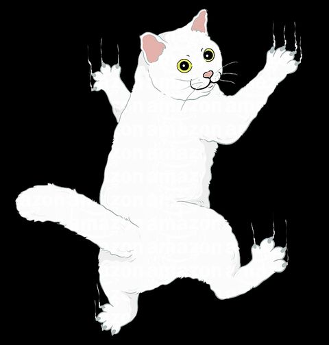 Obrázek produktu Pánské tričko Drápající se Kočka po Tričku