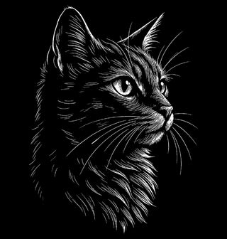 Obrázek 2 produktu Pánská mikina Portrét Kočky Scratch Art