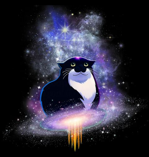 Obrázek produktu Dětské tričko Vesmírná Kočka Maxwell the Cat Master of the Universe