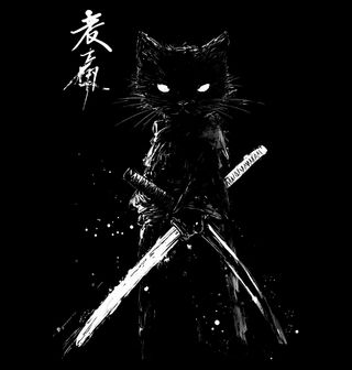 Obrázek 2 produktu Dětské tričko Noční Kočka Samuraj s Katanou