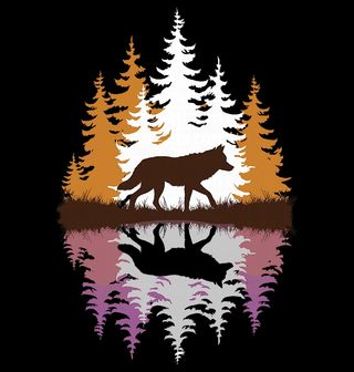 Obrázek 2 produktu Dětské tričko Vlčí Zrcadlení na Hladině