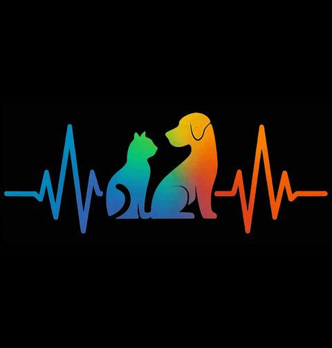 Obrázek produktu Dámské tričko Barevný Kardiogram Kočka a Pes