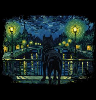 Obrázek 2 produktu Pánská mikina Cane Corso na Mostě ve Hvězdné Noci