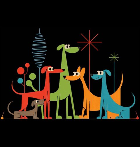 Obrázek produktu Dětské tričko Barevná Psí Smečka