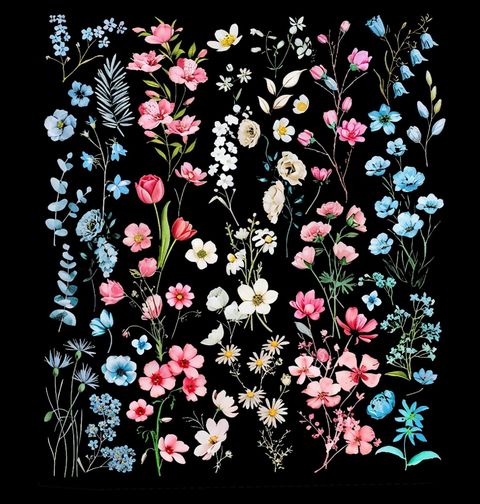 Obrázek produktu Dámské tričko Herbář Jarních Květin