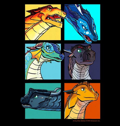 Obrázek produktu Dětské tričko Ohnivá křídla Dragonets of Destiny Wings of Fire