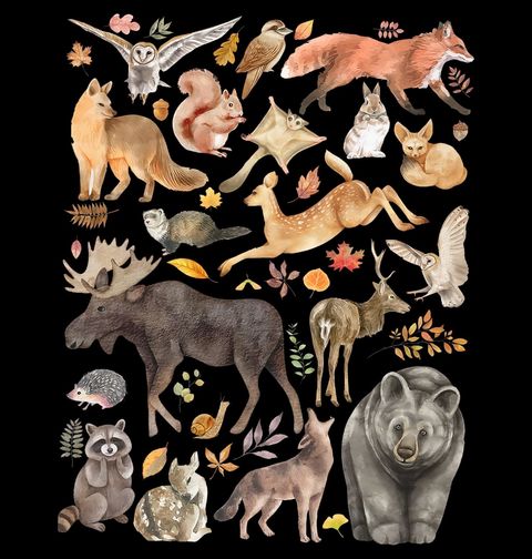 Obrázek produktu Dámské tričko Zvířata z Lesa