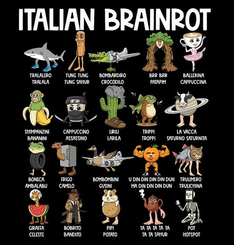 Obrázek produktu Dámské tričko Kolekce Šílených Postaviček Italian Brainrot