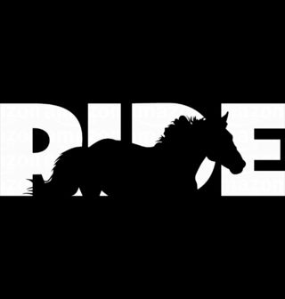 Obrázek 2 produktu Pánská mikina Jezdi na Koni Ride