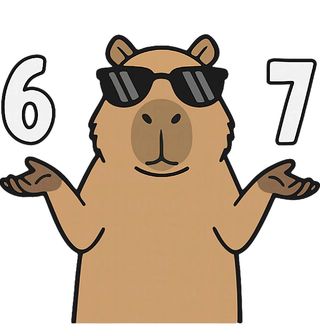 Obrázek 2 produktu Dámské tričko Kapybara 67 Six Seven Meme