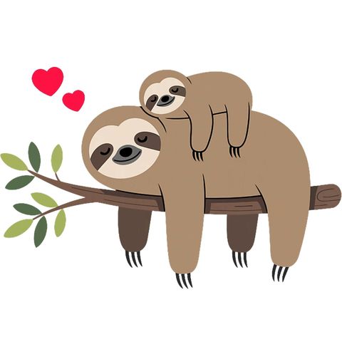 Obrázek produktu Pánské tričko Spící Lenochod s Mládětem