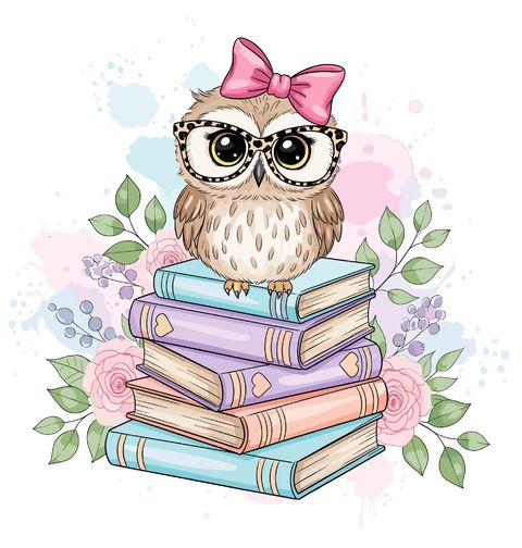 Obrázek produktu Pánské tričko Moudrá Sova na Knihách